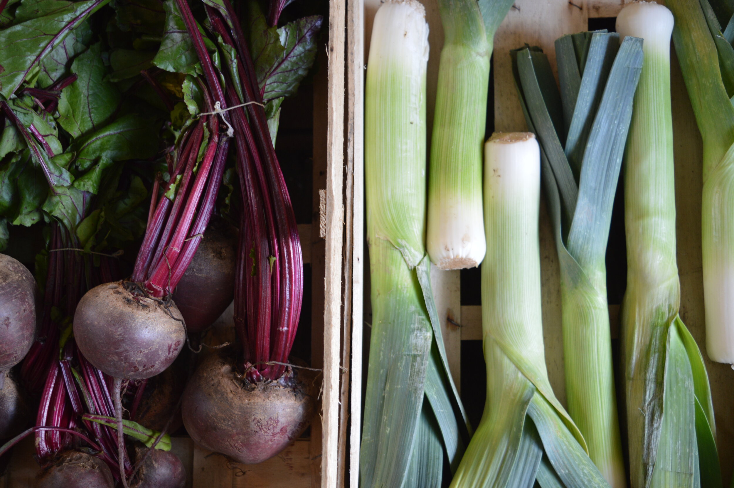 The Center Market - Alaska's Only Year-round Farmer's Market